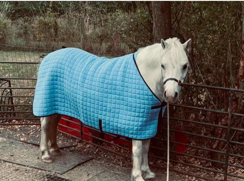 "Bambi" Grey Mare Lead Rein/First Ridden Pony