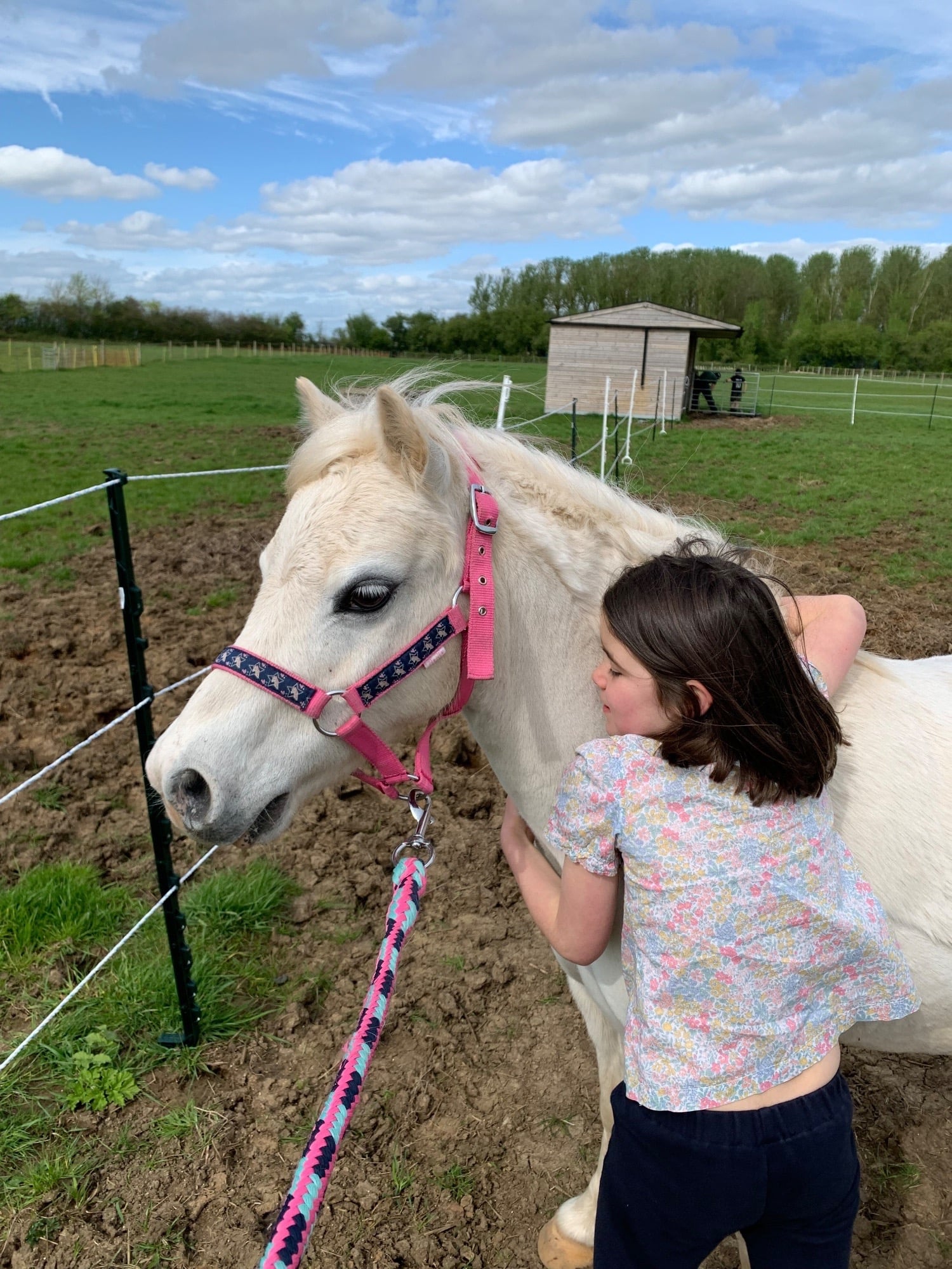 "Bambi" Grey Mare Lead Rein/First Ridden Pony - Horses in Buckingham