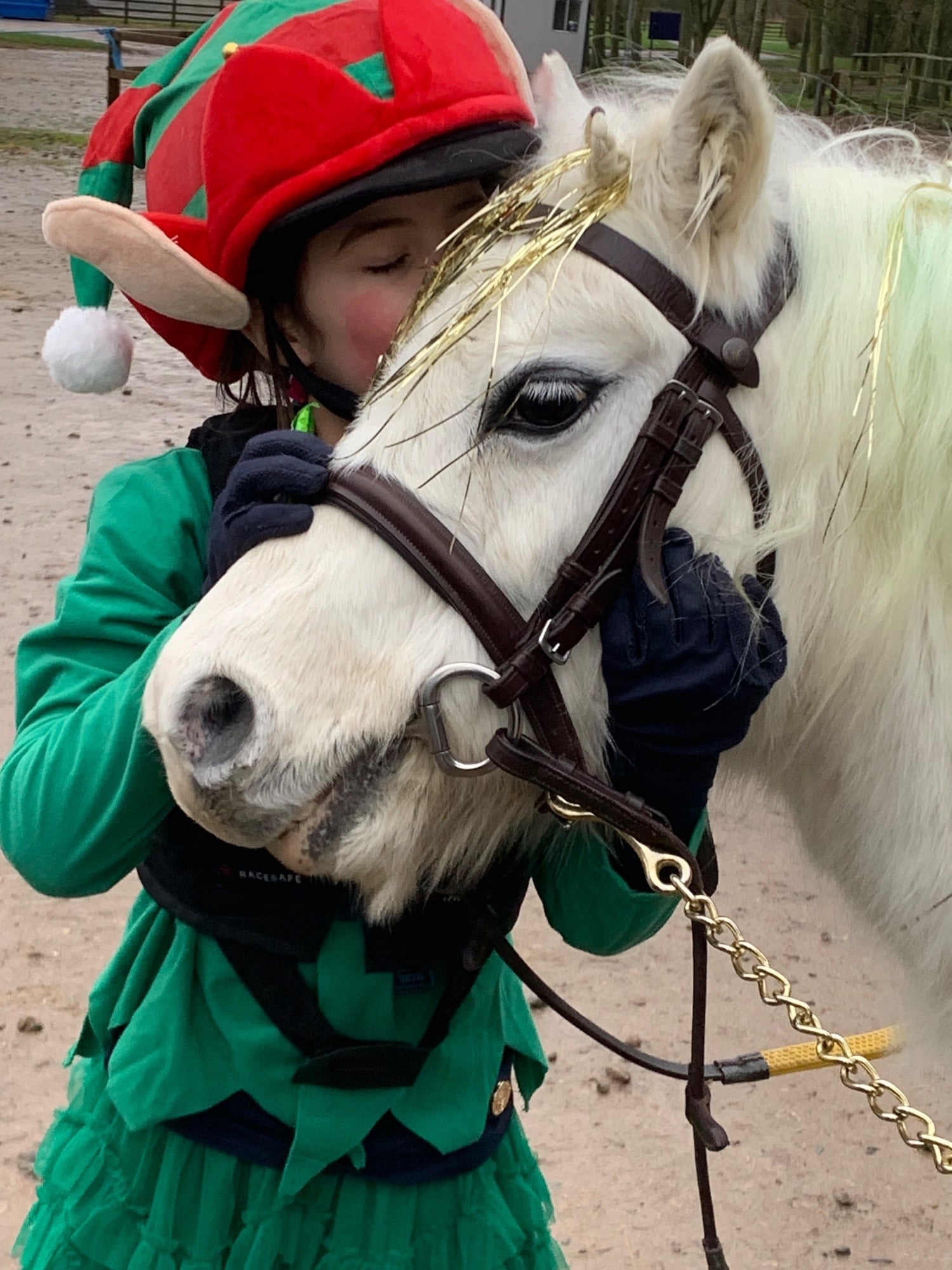 "Bambi" Grey Mare Lead Rein/First Ridden Pony - Horses
