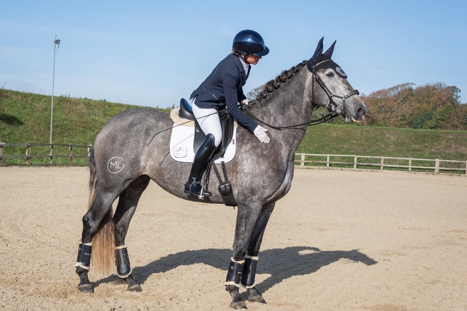 "Flamenca" Grey Mare Spanish / Iberian Horse