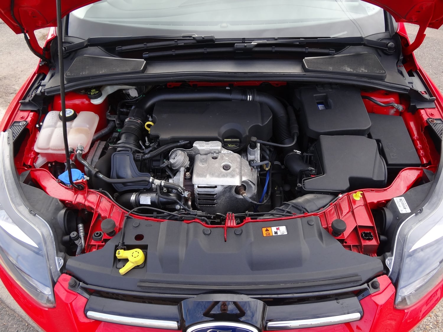 [ berth ]Ford Focus