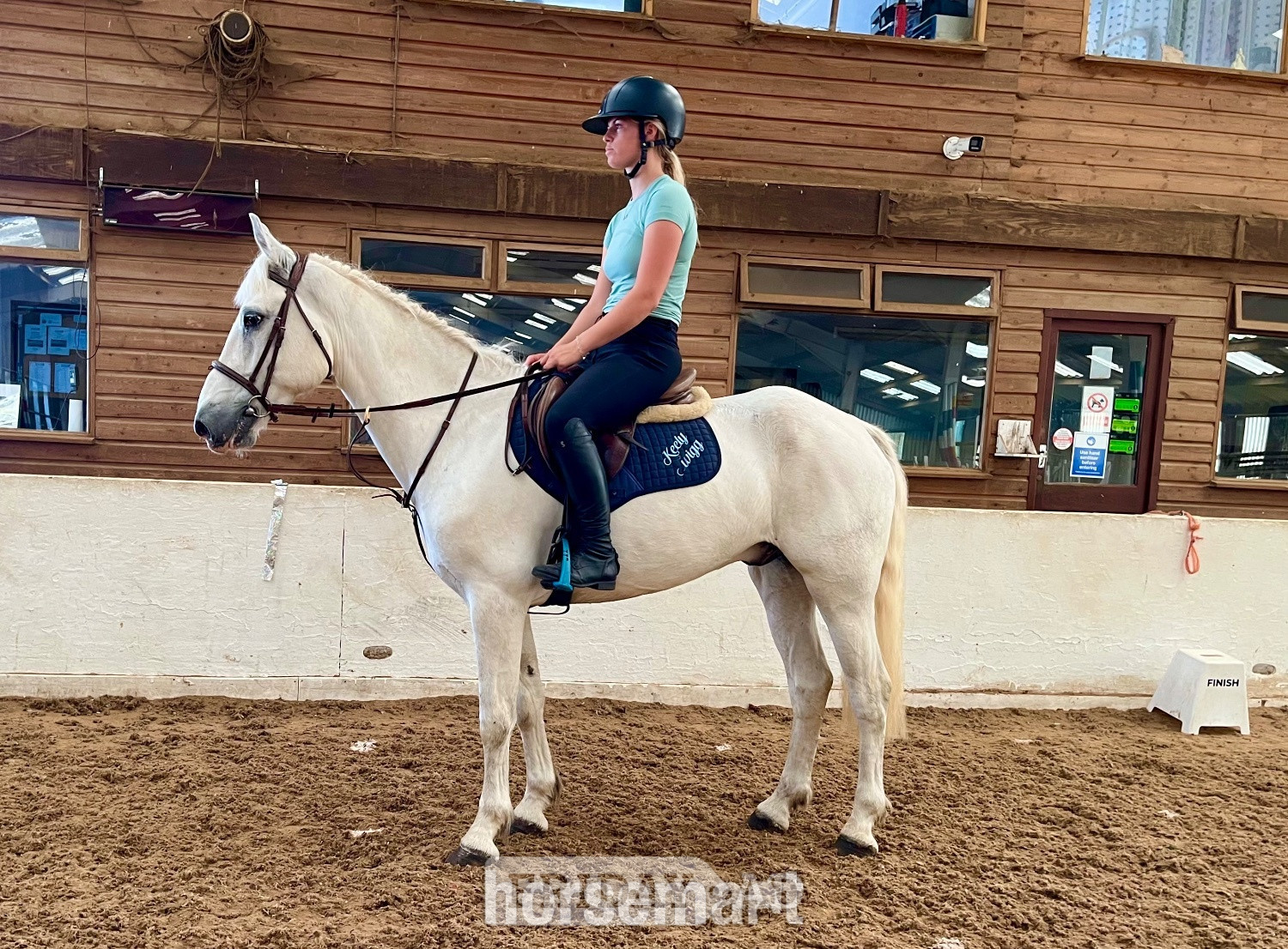 Staplehurst "Dante" Grey Gelding All Rounder