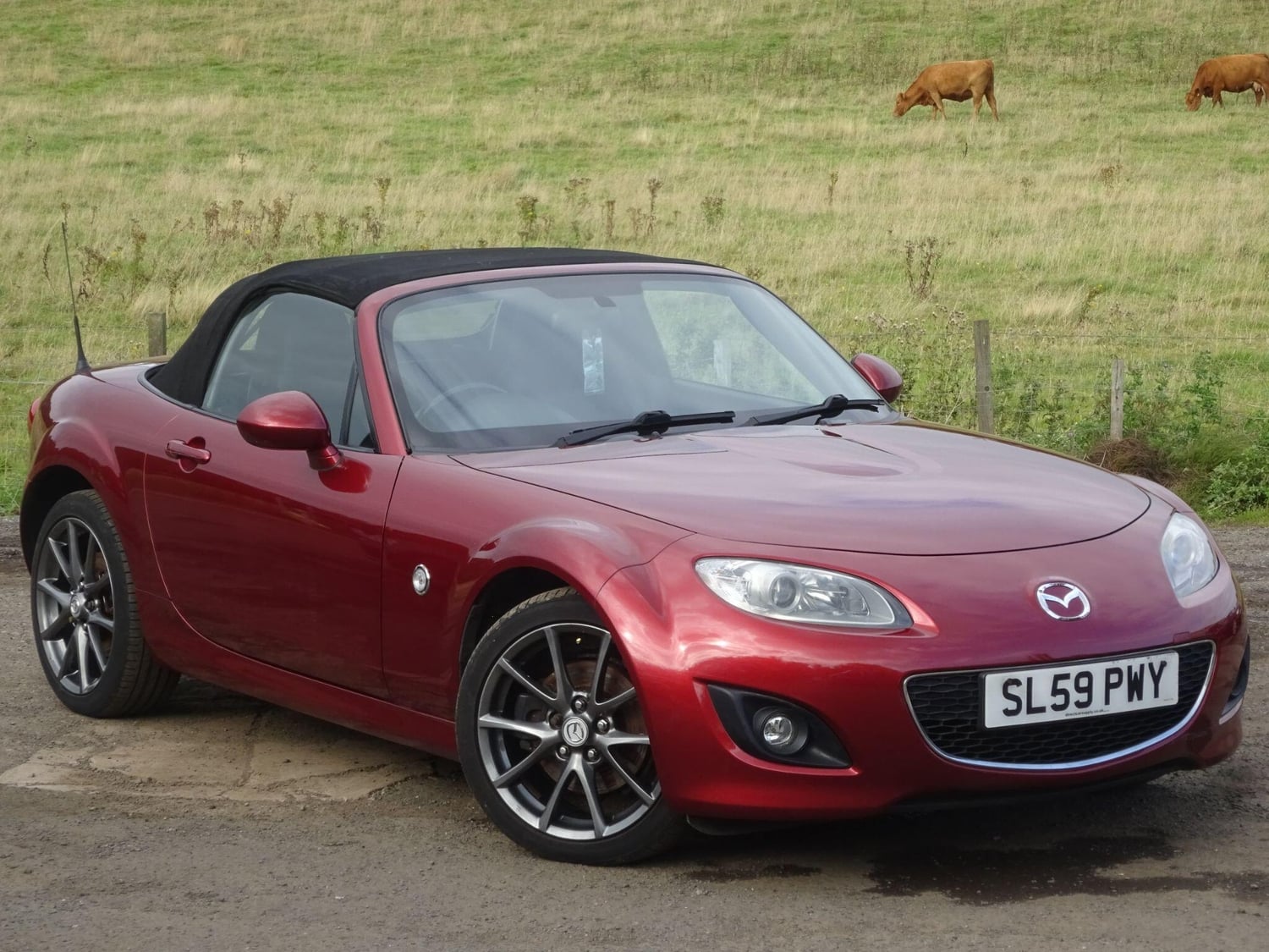Mazda MX-5 2009 - Cars