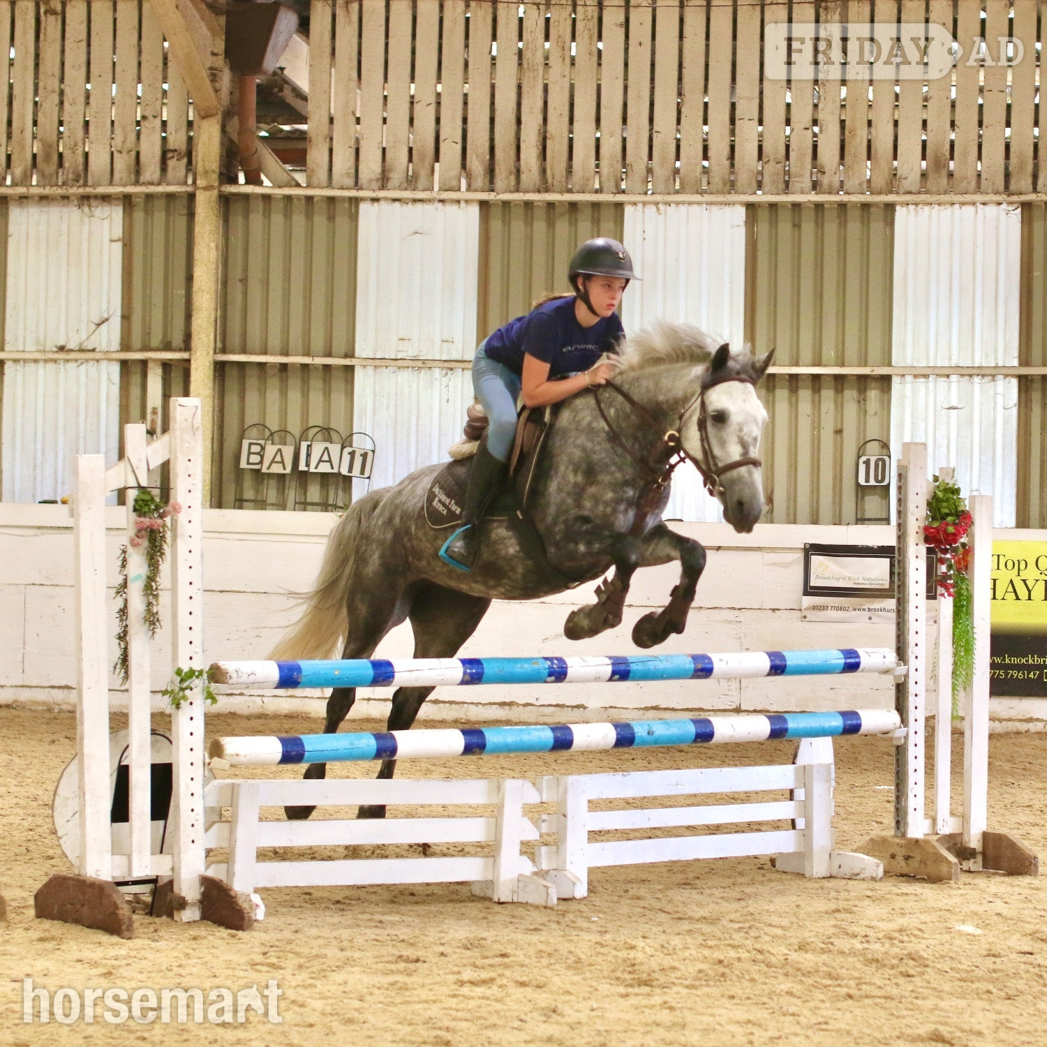 "Josie" Dapple Grey Mare All Rounder in Staplehurst