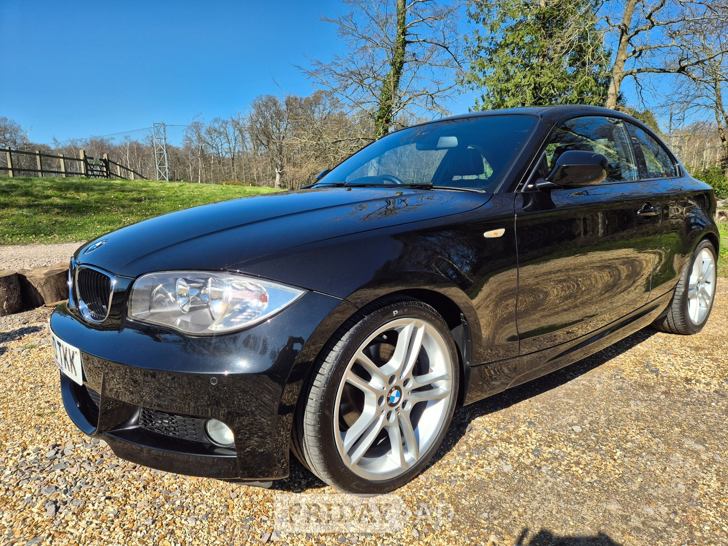 BMW 1 Series 2010 in Fleet