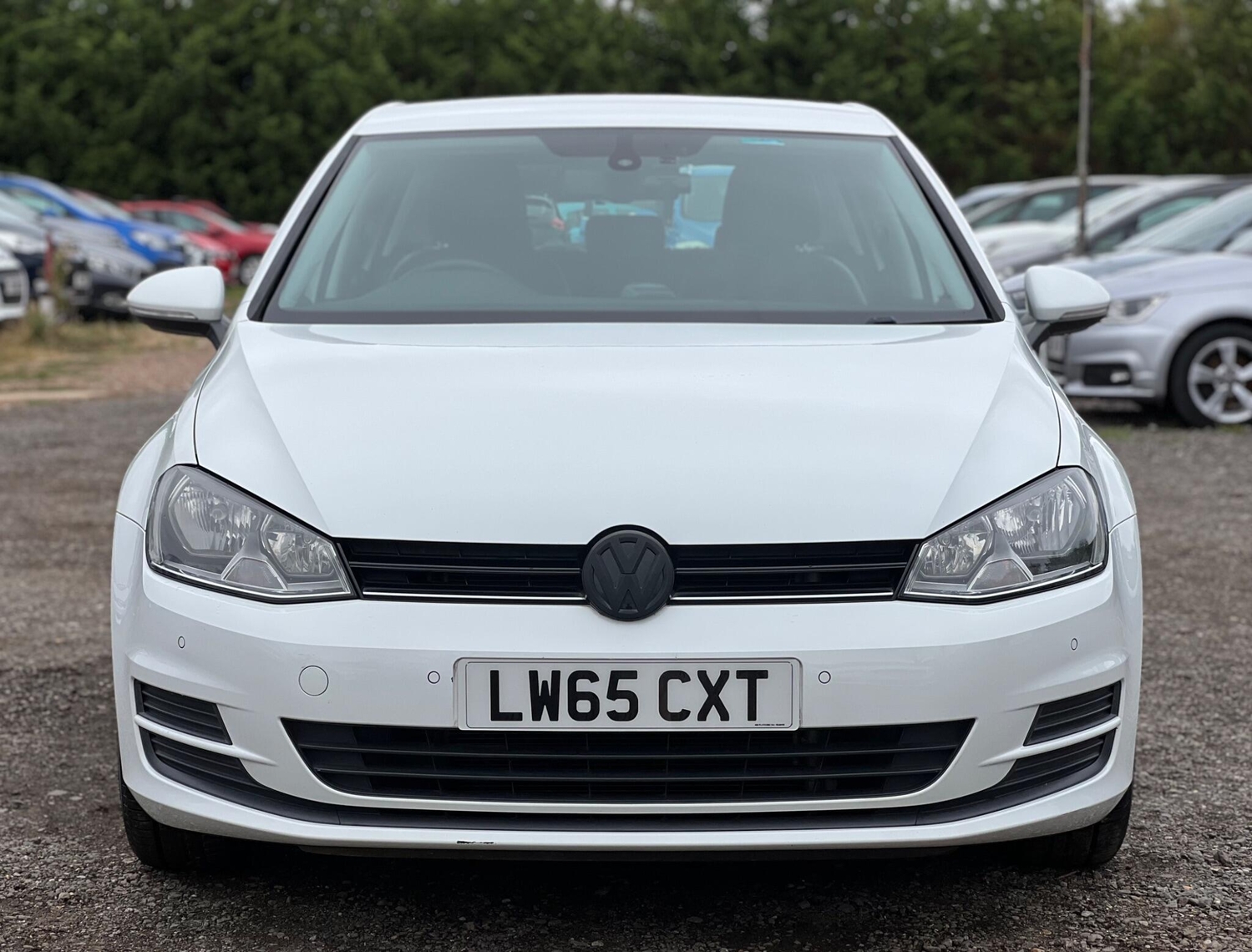 [ berth ]Volkswagen Golf