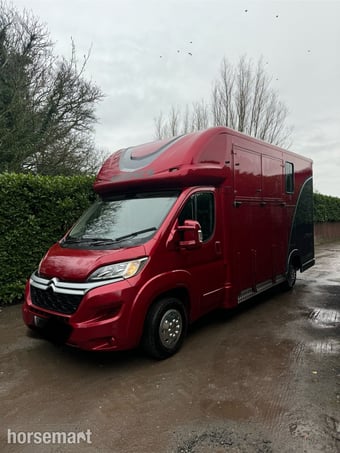 Regent  Citroen Horsebox