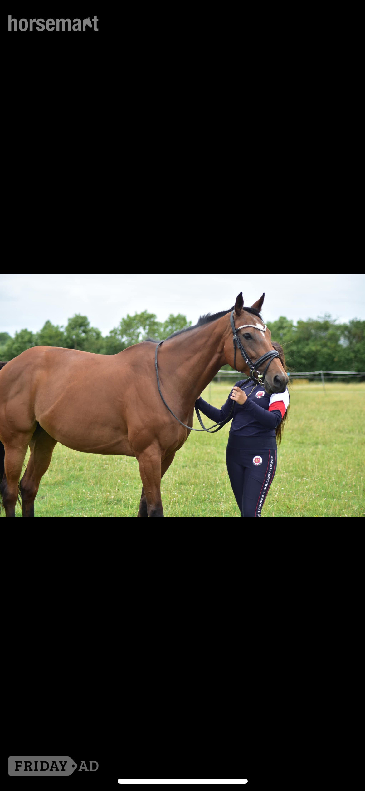 "Ronoccos Katie " Bay Mare All Rounder in Tewkesbury