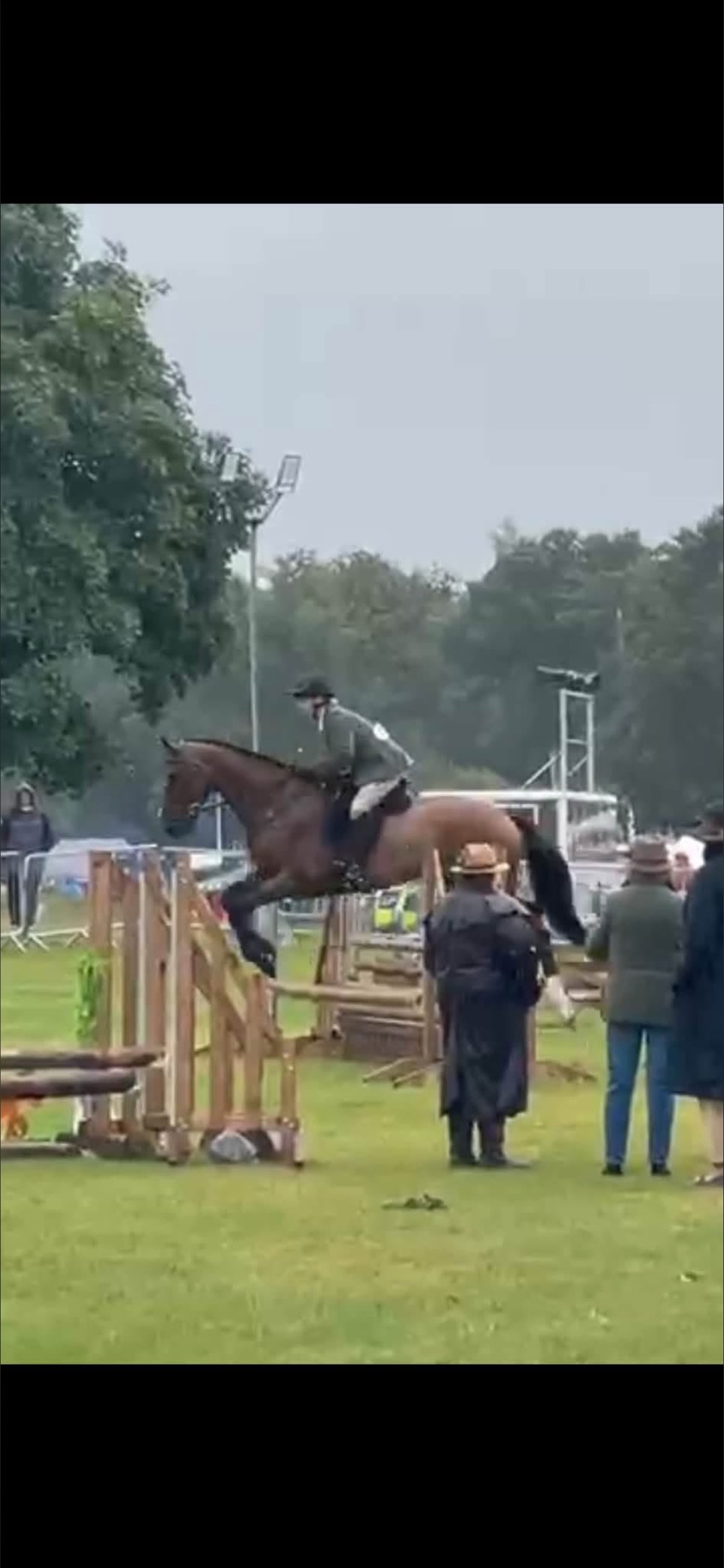 Grange "John" Brown Gelding All Rounder