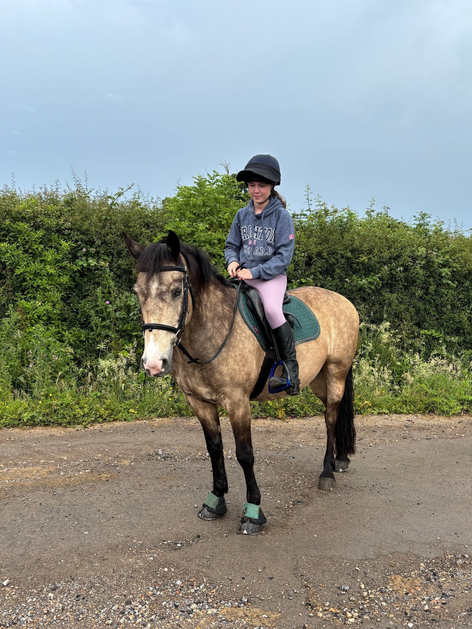 Haywards Heath Sharer for fun and forward 14.2 connie 2-3 days per week
