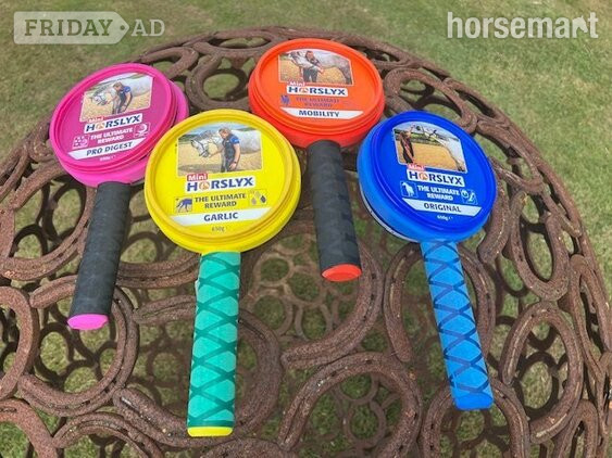 LyxLoop Mini Horslyx Holder in Hanworth