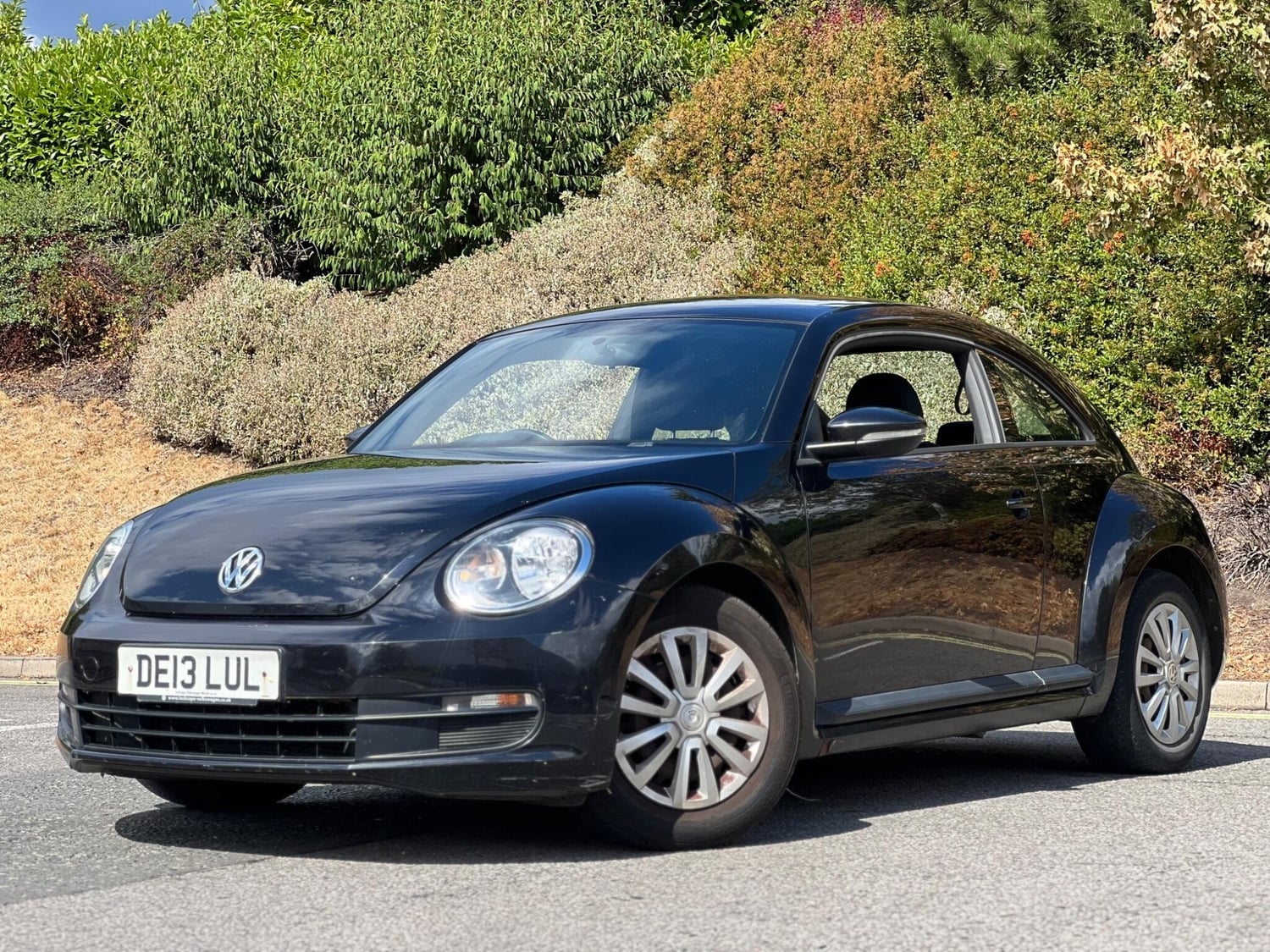 [ berth ]Volkswagen Beetle