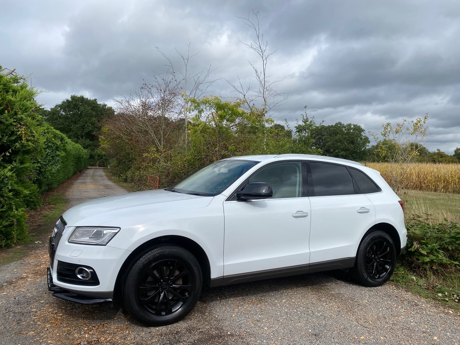 Audi Q5 2016 - Cars