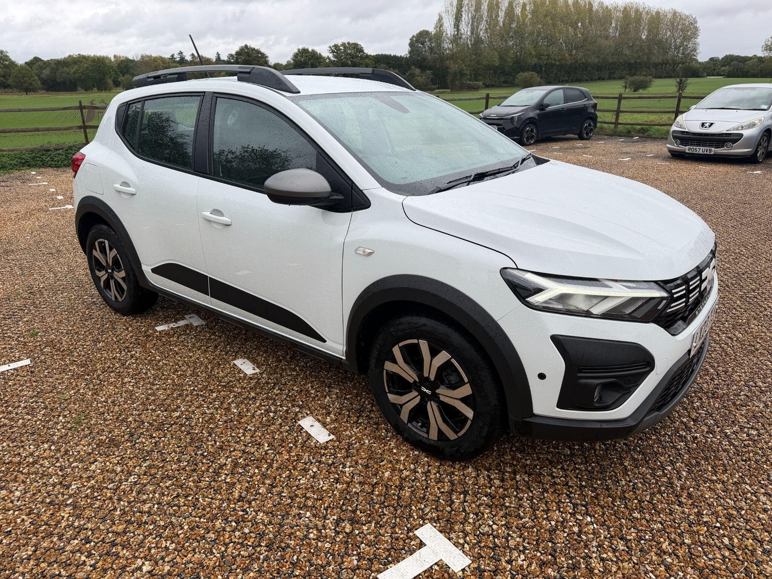 Dacia Sandero Stepway Fleet