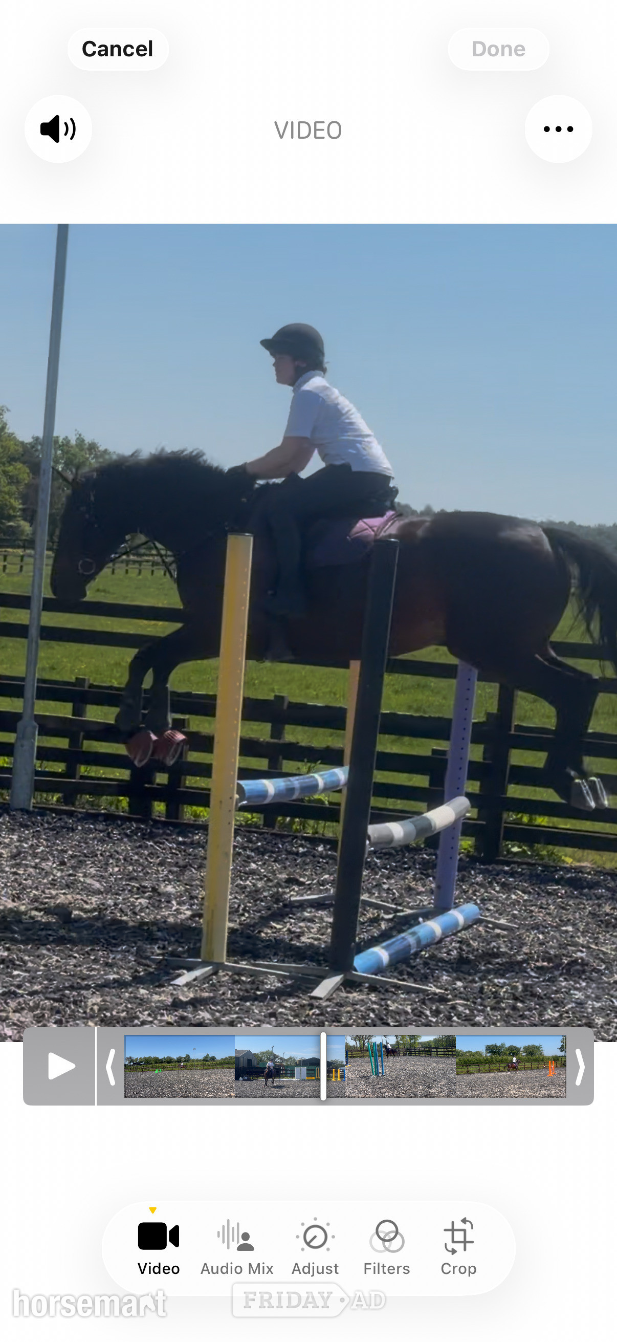 "Tia " Bay Mare All Rounder