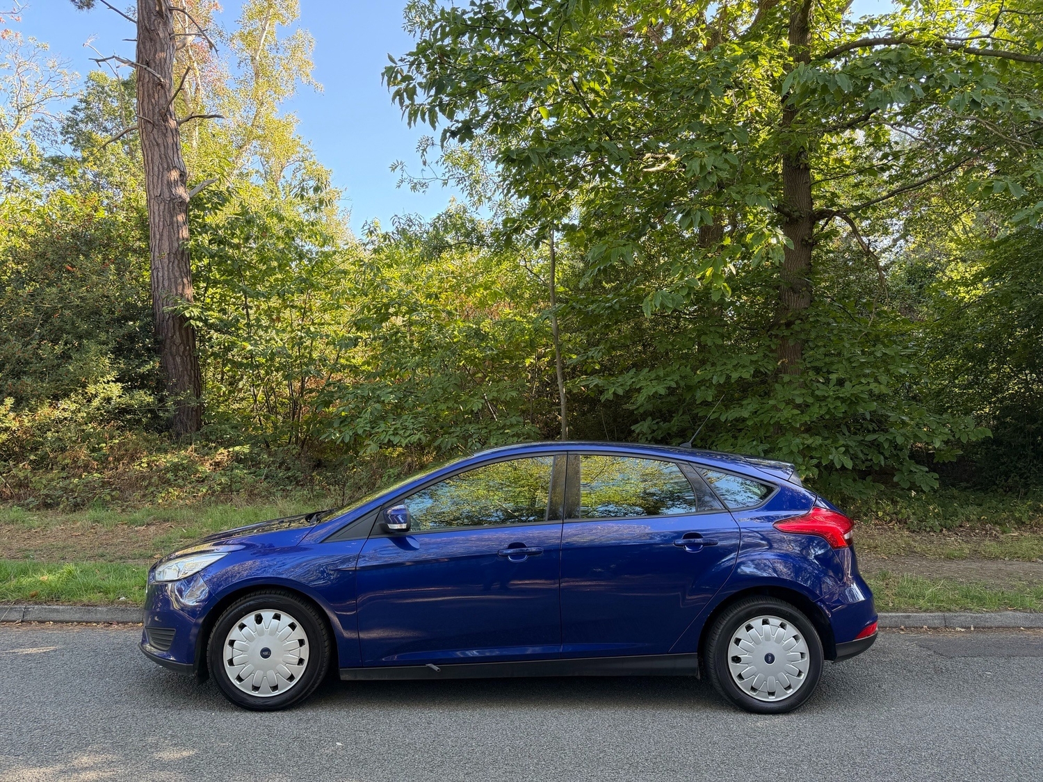 [ berth ]Ford Focus