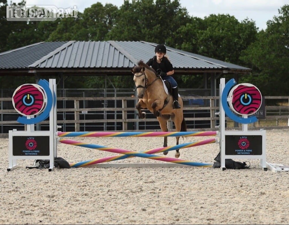 "Dun Dancing" Dun Gelding All Rounder in Winchester