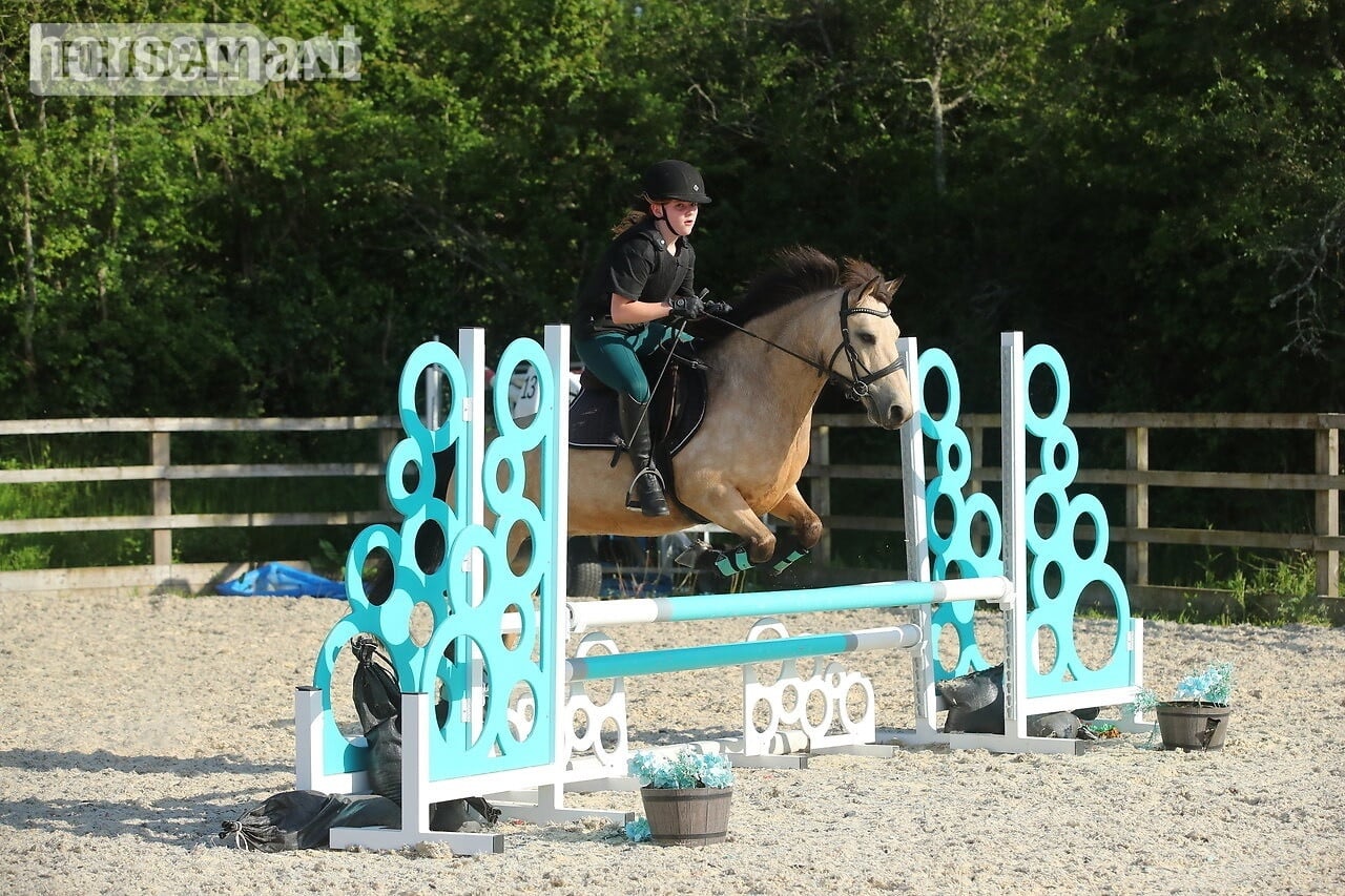 Winchester "Dun Dancing" Dun Gelding All Rounder