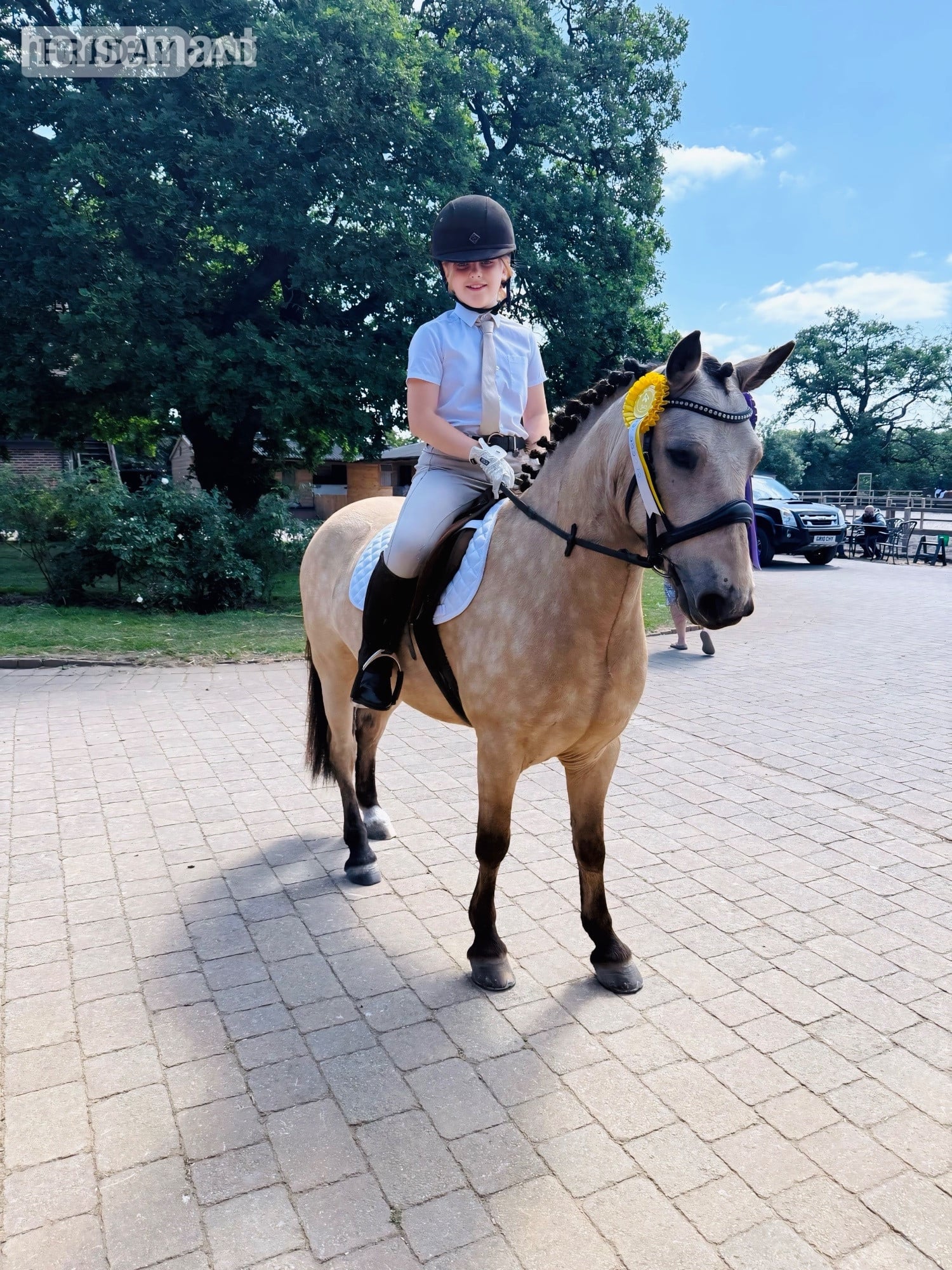 "Dun Dancing" Dun Gelding All Rounder - Horses in Winchester