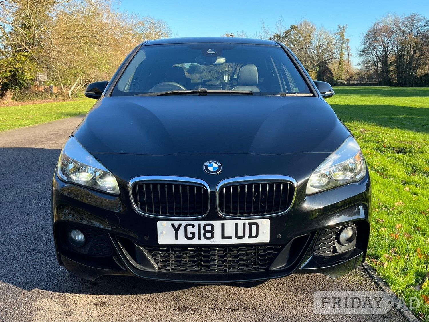 BMW 2 Series Active Tourer Chertsey