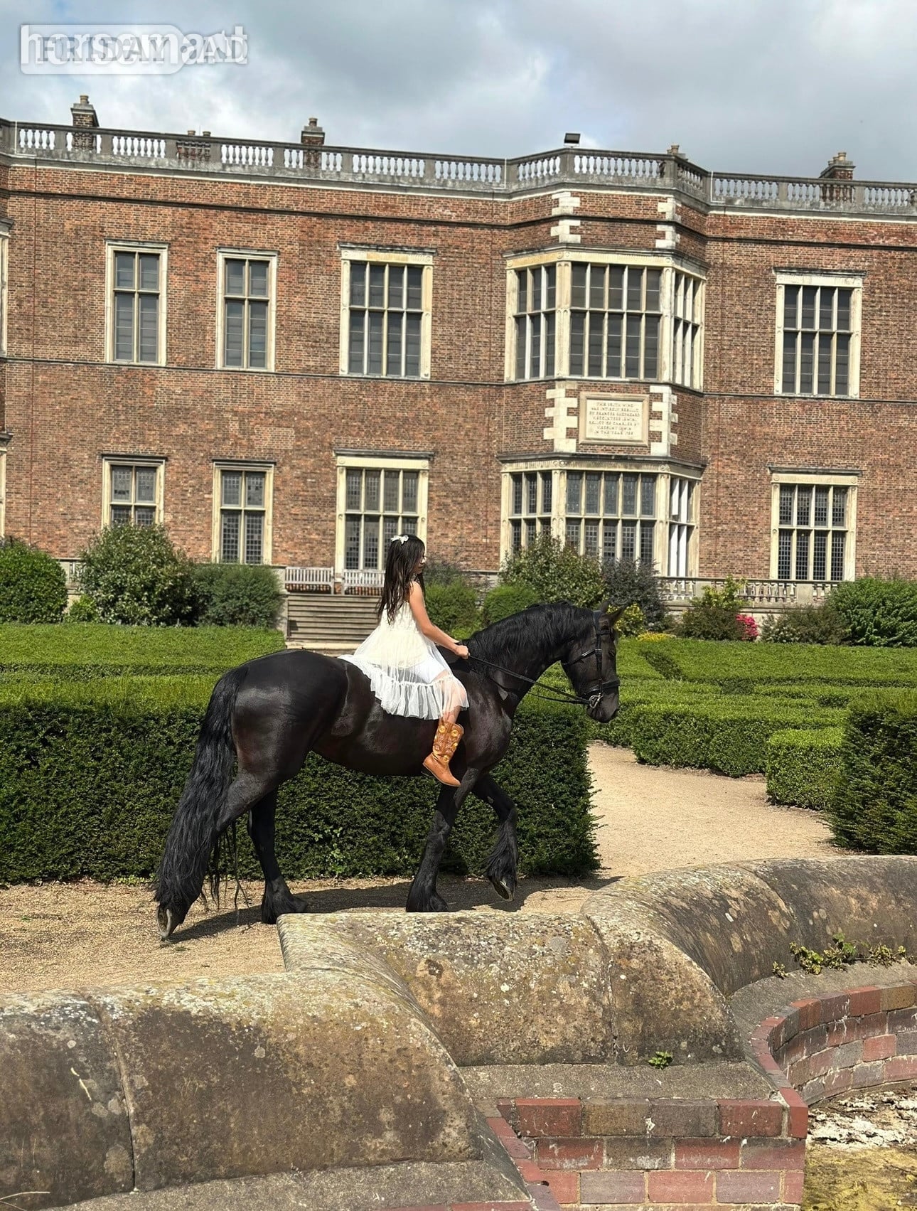 "Khaleesi" Black Mare Cob/Heavy Horse in Batley