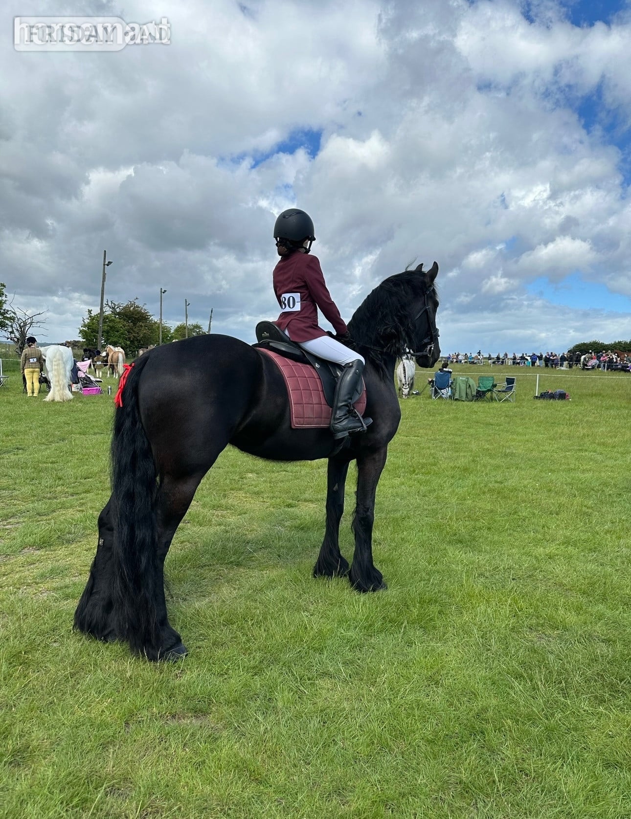 "Khaleesi" Black Mare Cob/Heavy Horse