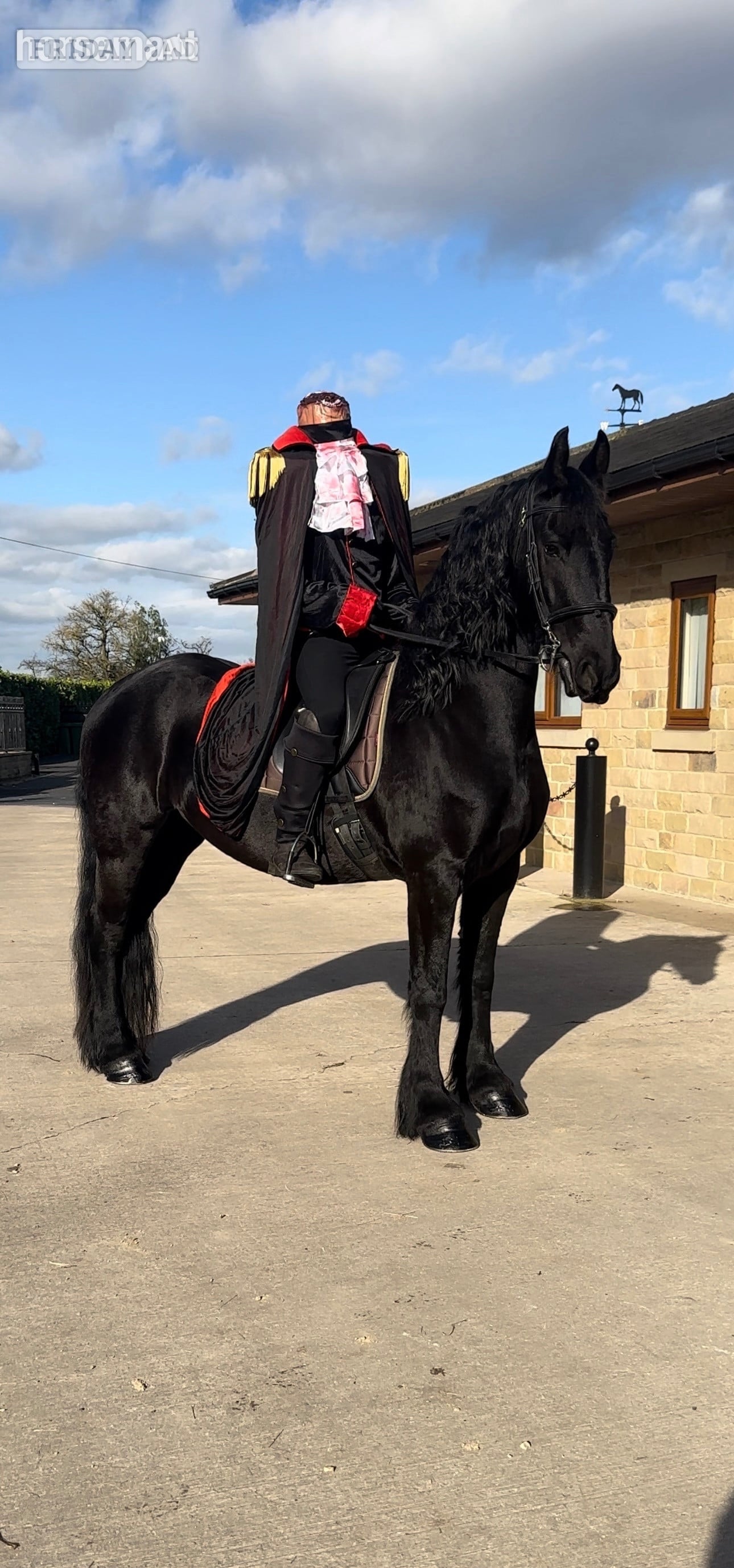 Batley "Khaleesi" Black Mare Cob/Heavy Horse