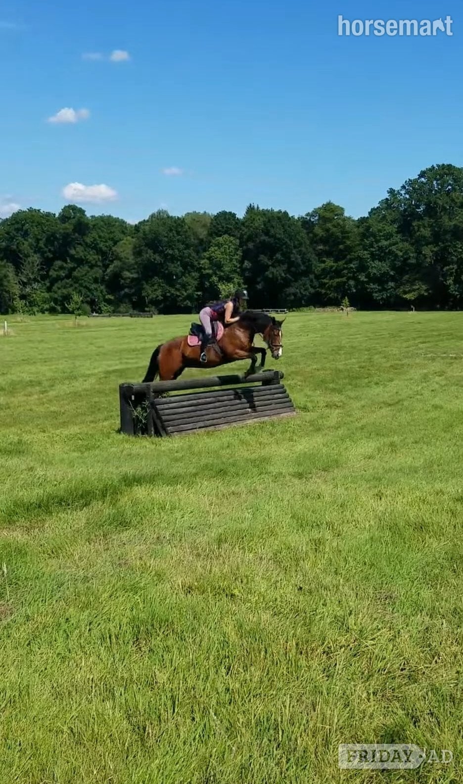 Petersfield "Cupcake " Bay Mare All Rounder