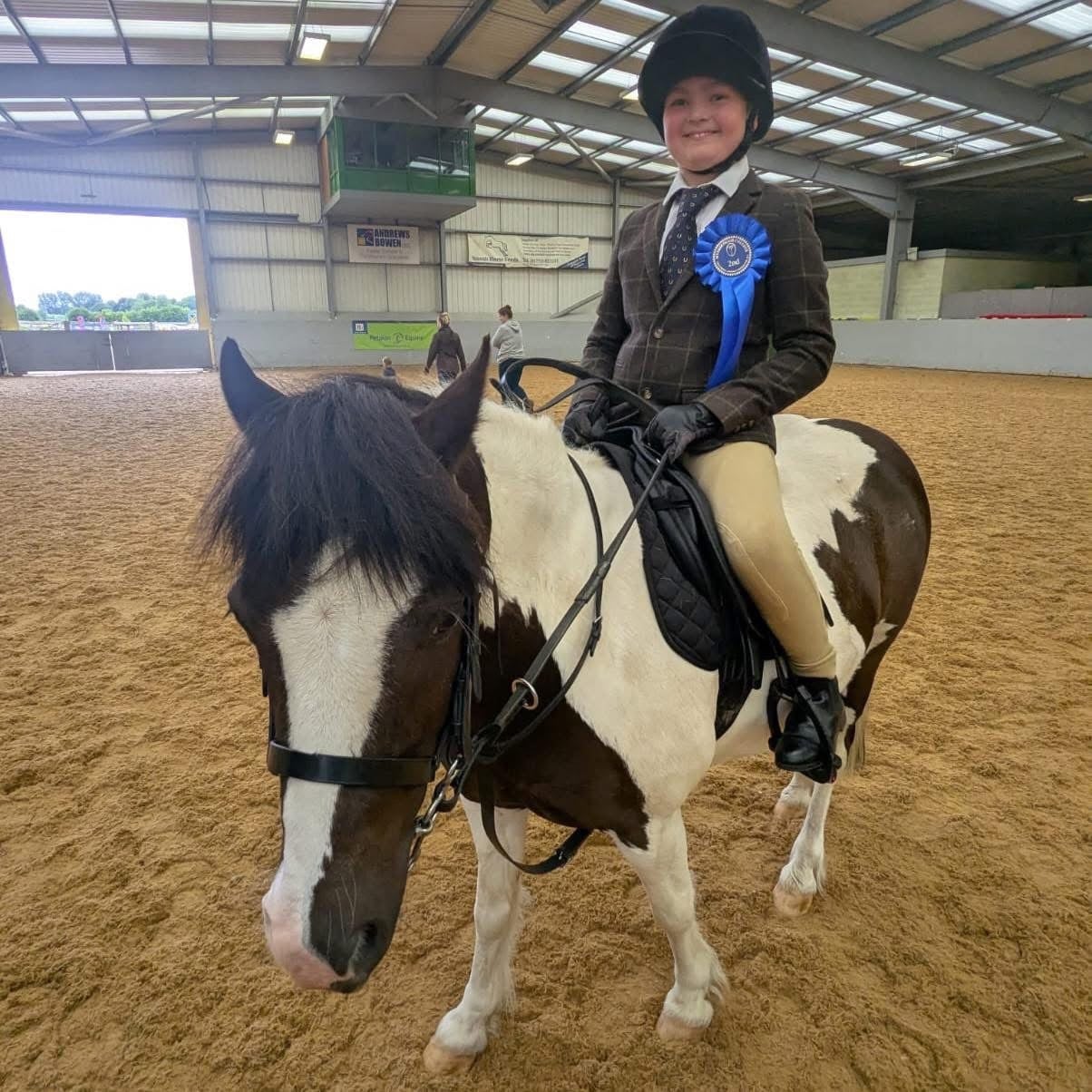 "Smartie " Skewbald Gelding Pony Club Pony - Horses in Forton