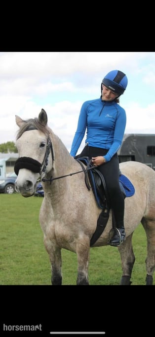 "Carra" Fleabitten Grey Mare All Rounder