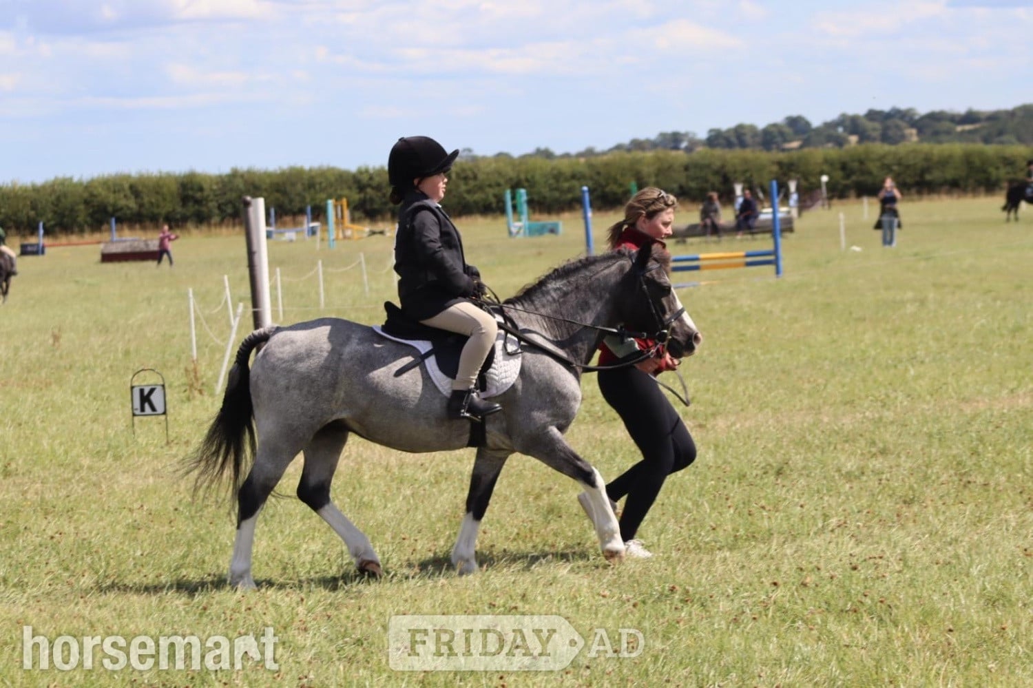 "Steady &amp; Experienced" Blue Roan Gelding Lead Rein/First Ridden Pony in Prudhoe