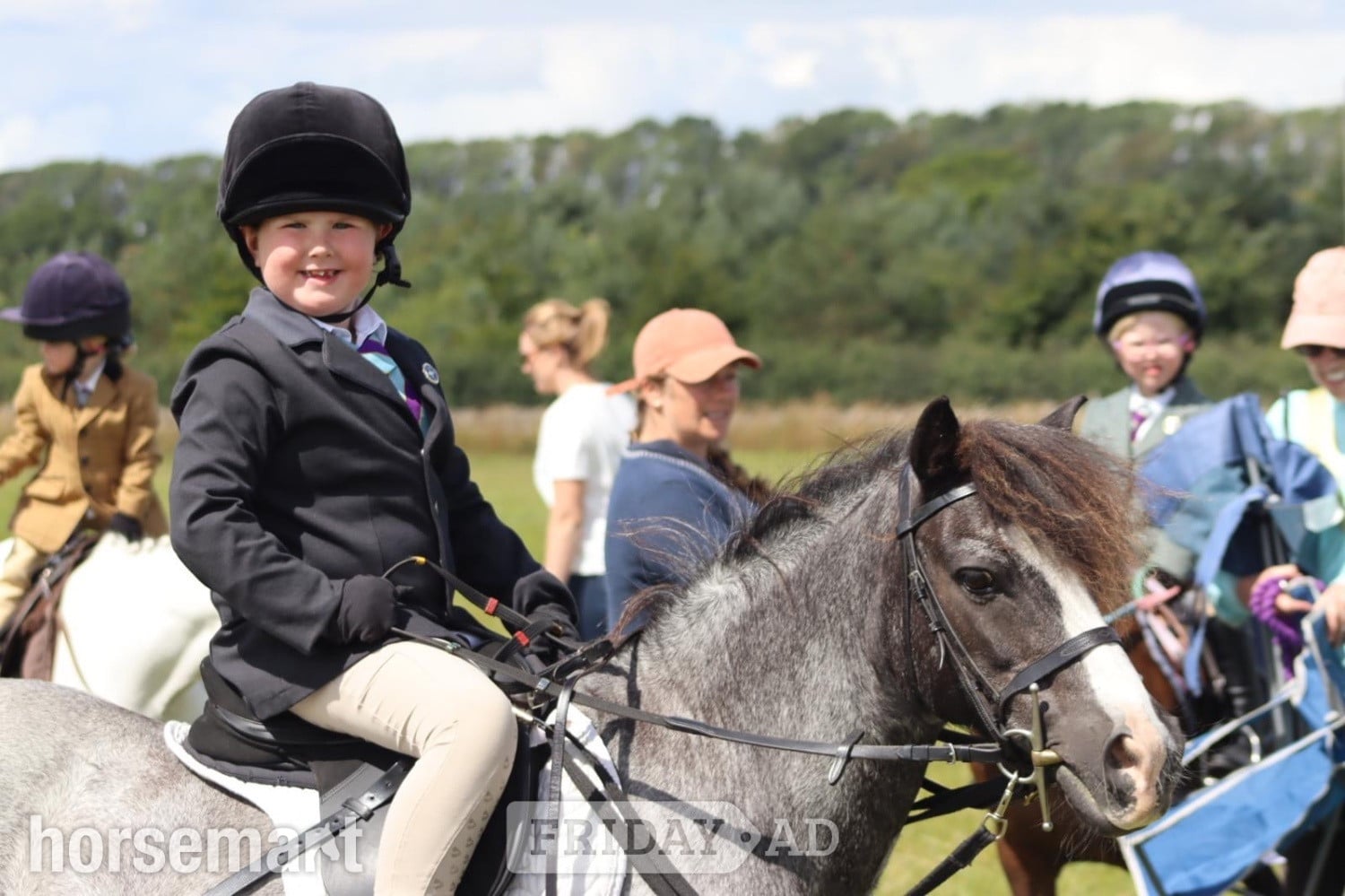 "Steady &amp; Experienced" Blue Roan Gelding Lead Rein/First Ridden Pony