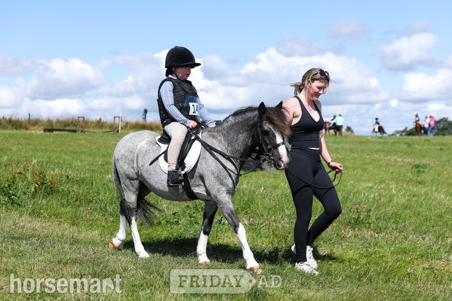 Prudhoe "Steady &amp; Experienced" Blue Roan Gelding Lead Rein/First Ridden Pony
