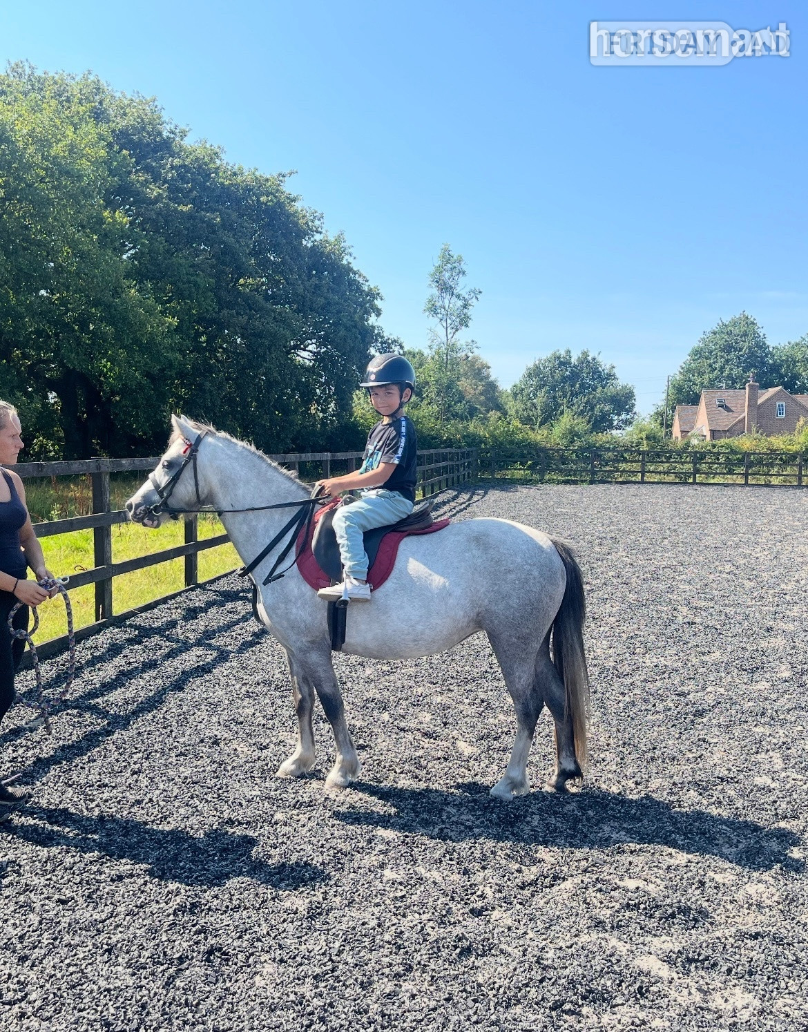 "Autum" Grey Filly All Rounder - Horses