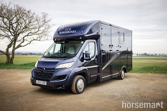 I.C.E Stallion Lux Citroen Horsebox