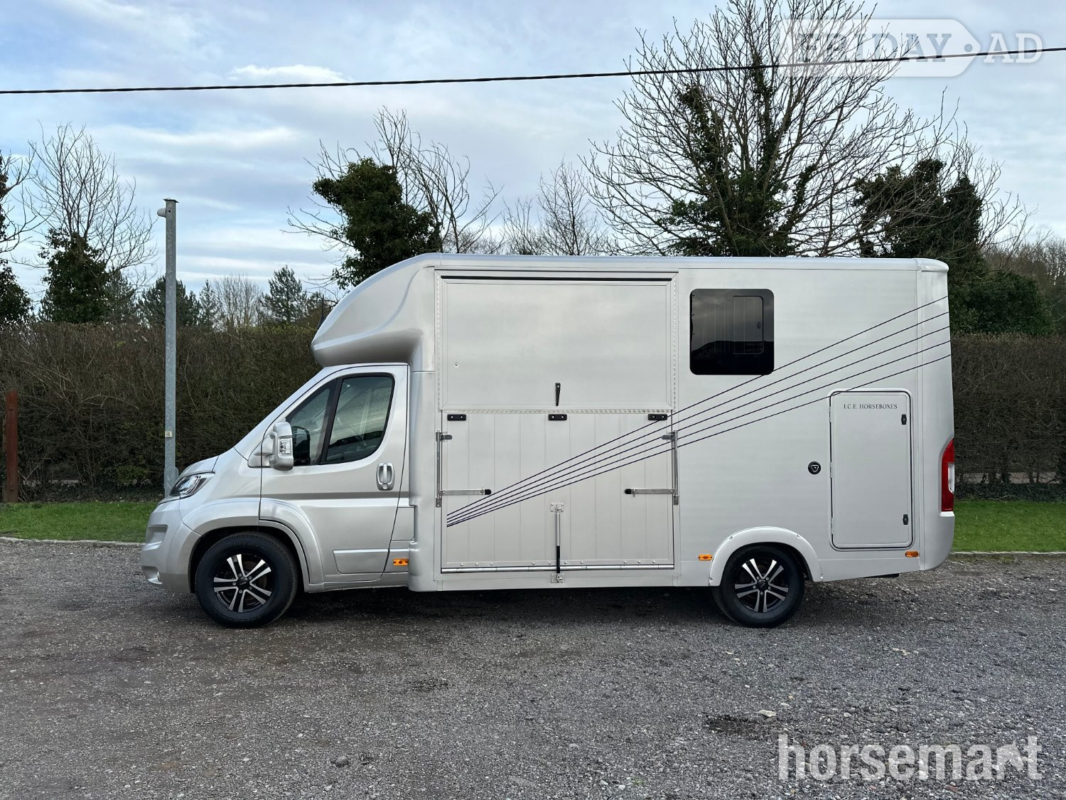 I.C.E Stallion Lux Citroen Horsebox - Trailers & Horseboxes in Carshalton