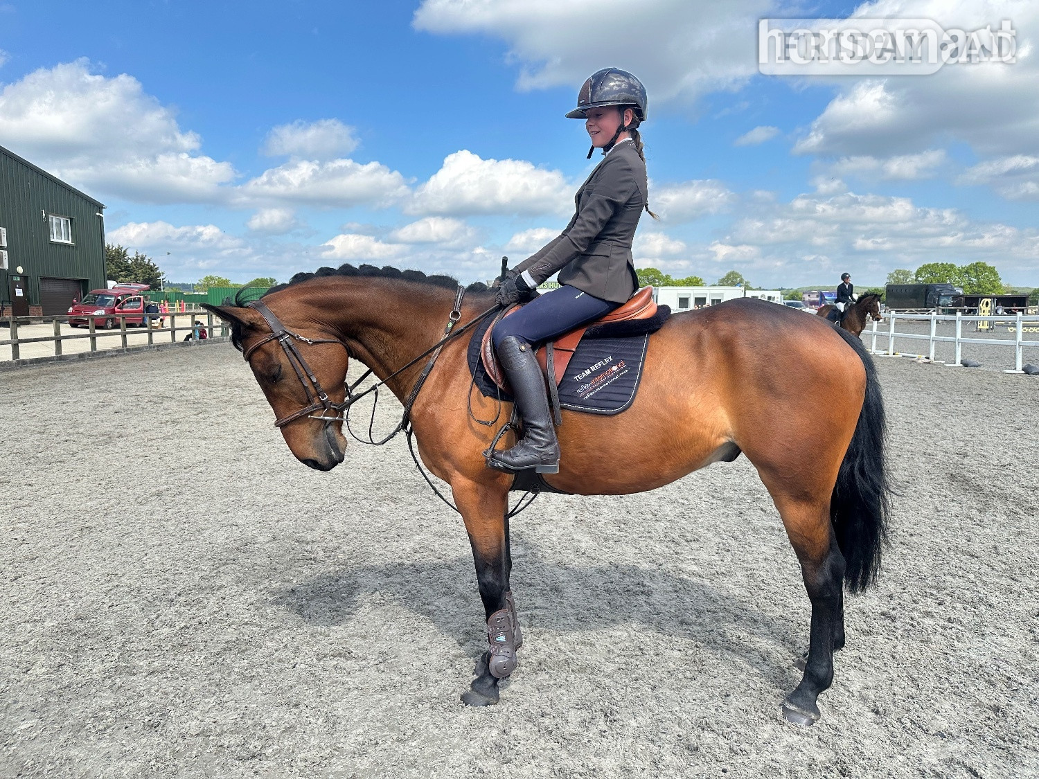 "REX" Bay Gelding All Rounder in Noak Hill