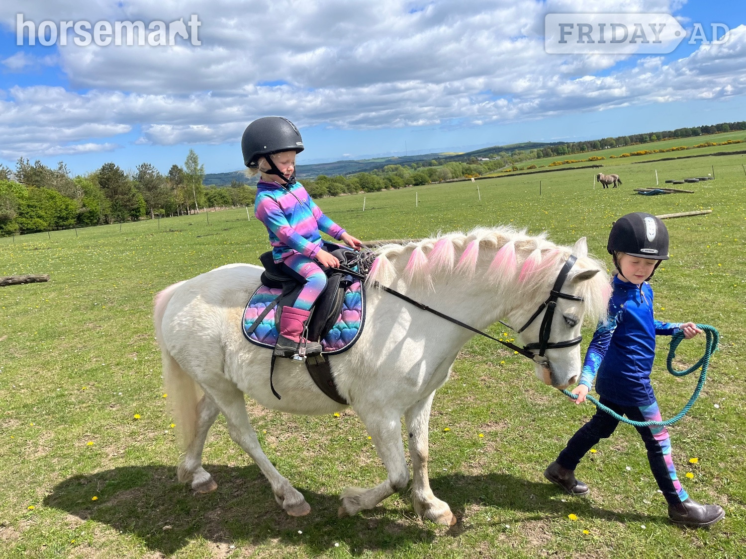 "Shylo" Grey Gelding Lead Rein/First Ridden Pony - Horses