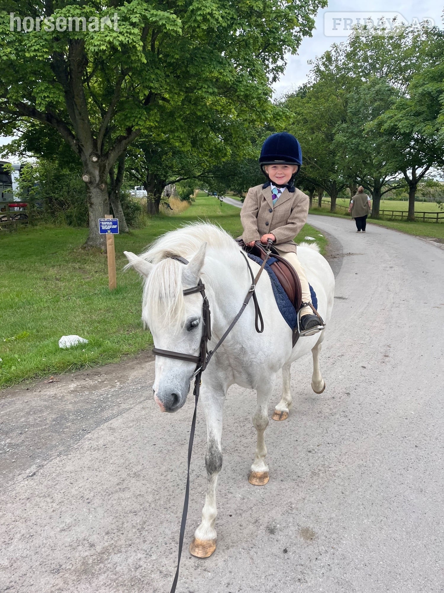 "Shylo" Grey Gelding Lead Rein/First Ridden Pony
