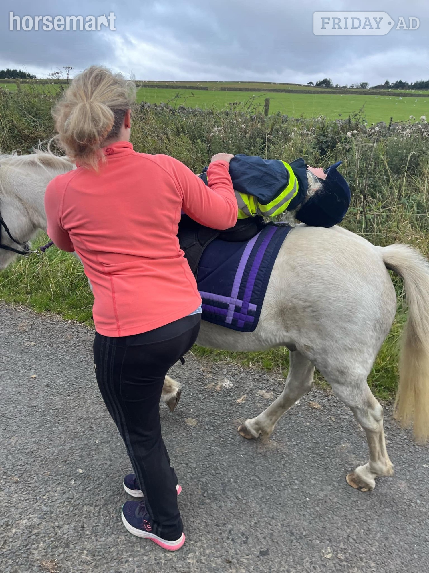 "Shylo" Grey Gelding Lead Rein/First Ridden Pony - Horses in Consett