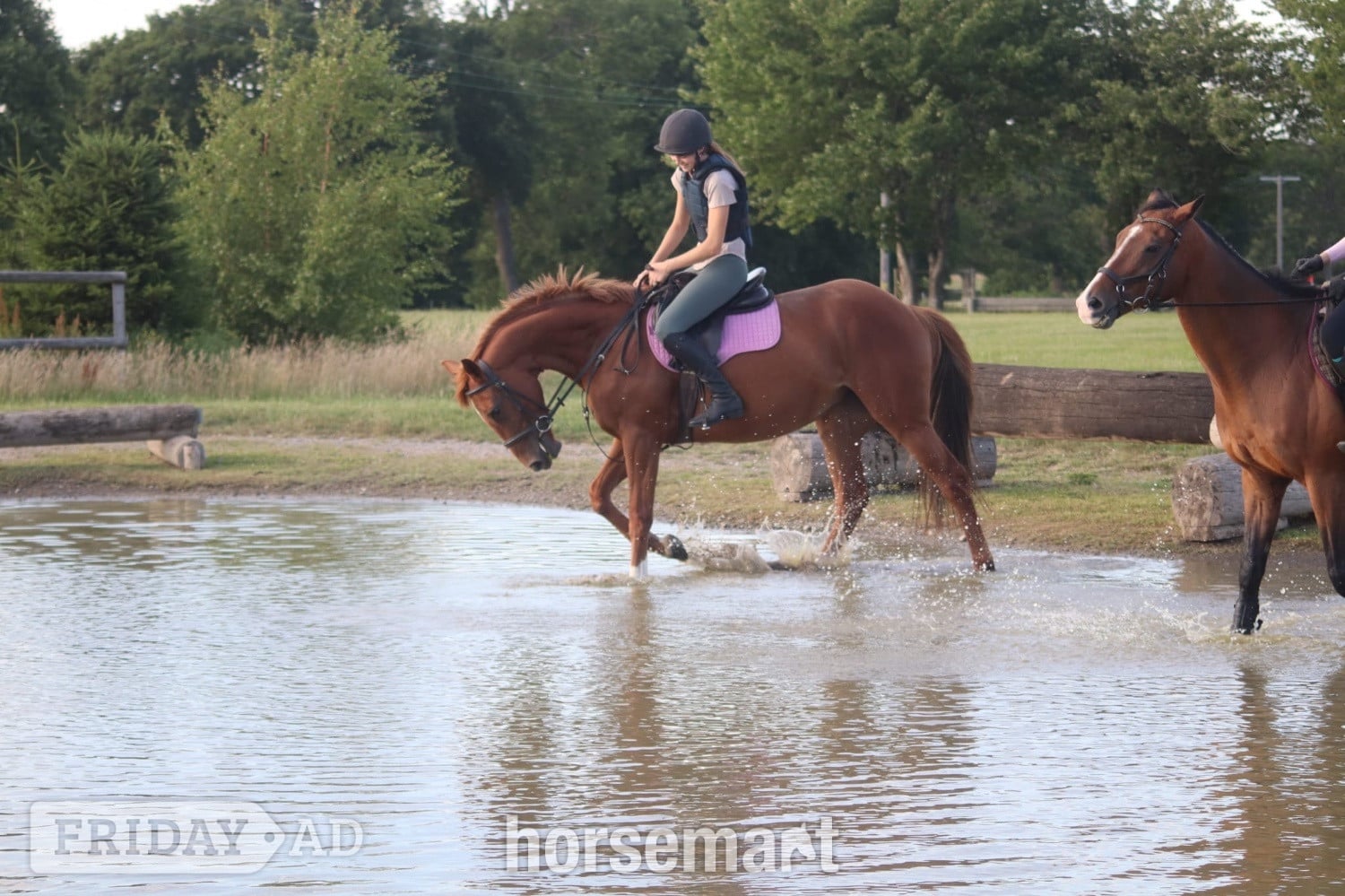 Tonbridge "Iris " Chestnut Mare All Rounder