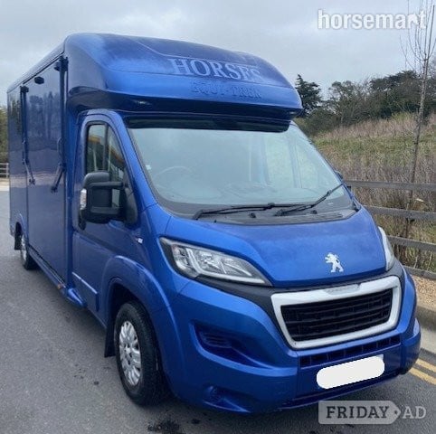 Equi-Trek Sonic Peugeot Horsebox in Horsham