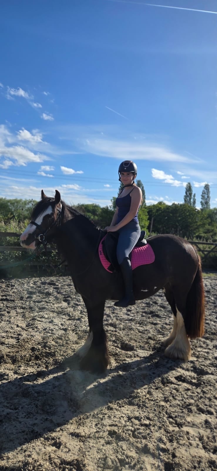 "Polly" Black Mare Cob/Heavy Horse