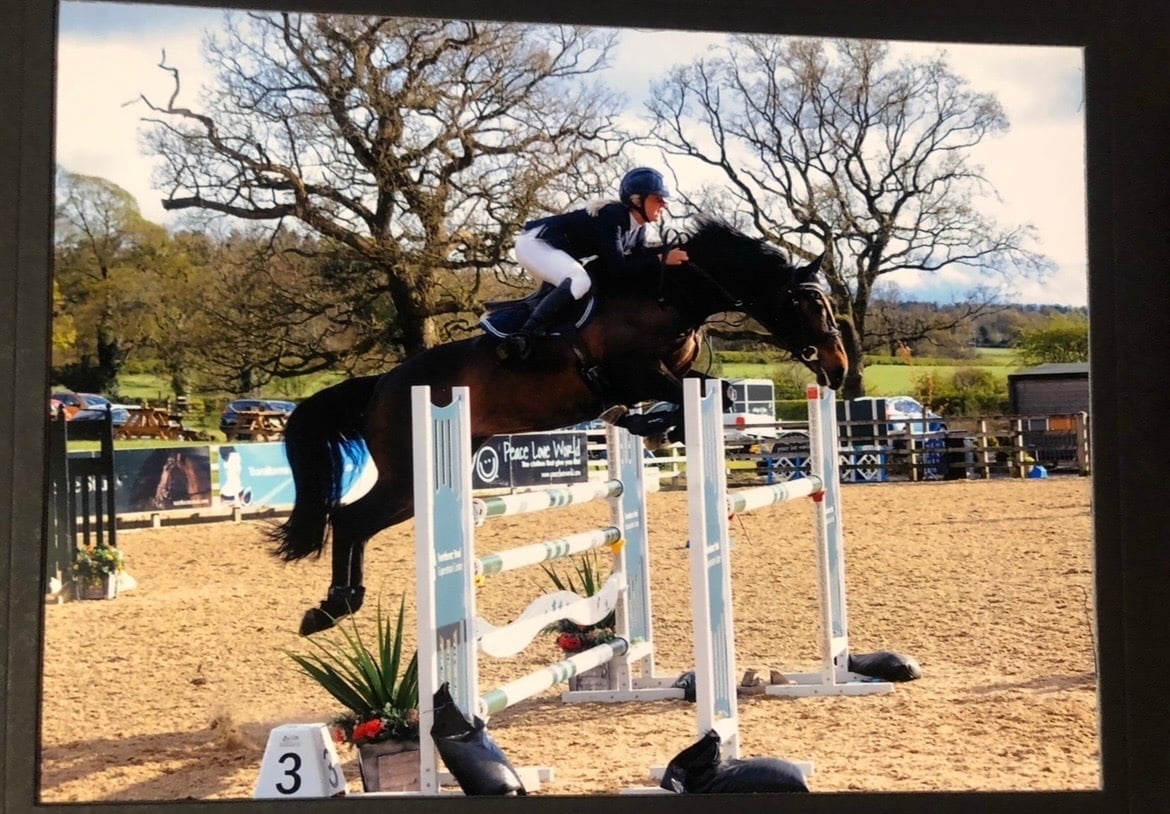 "Riverfield legend " Dark Bay Mare Show Jumper