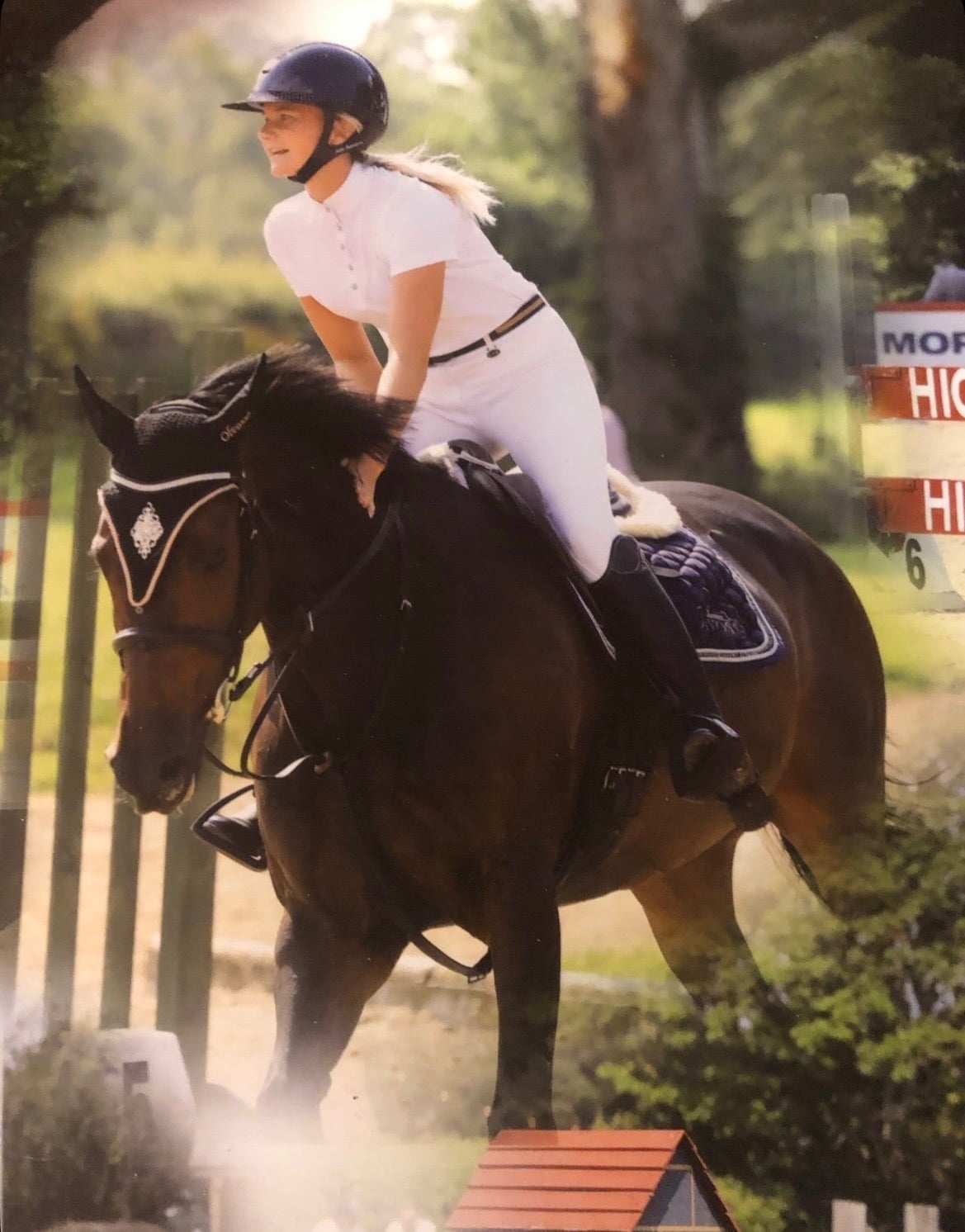 Leven "Riverfield legend " Dark Bay Mare Show Jumper