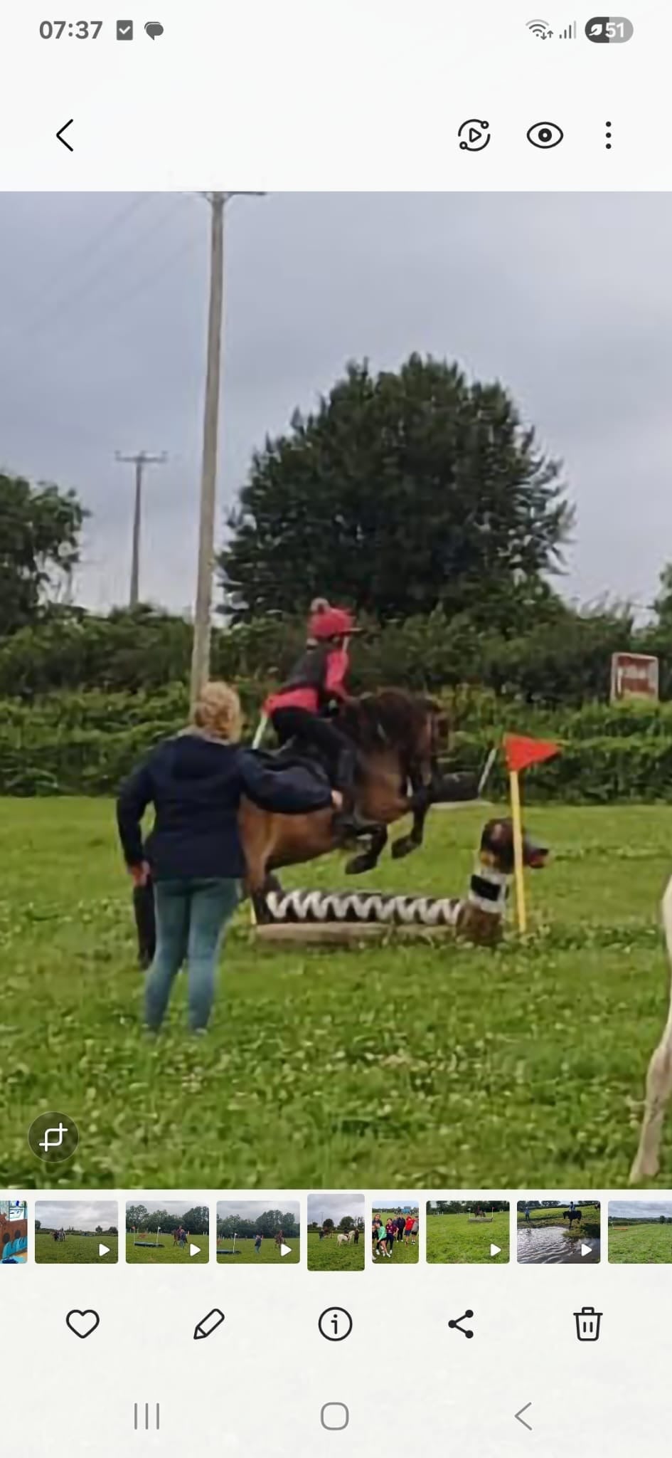 "MONTY" Bay Gelding All Rounder