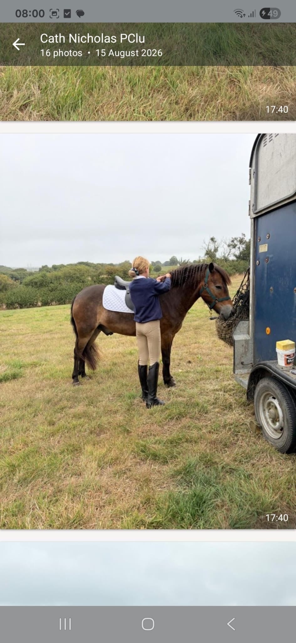 Narberth "MONTY" Bay Gelding All Rounder