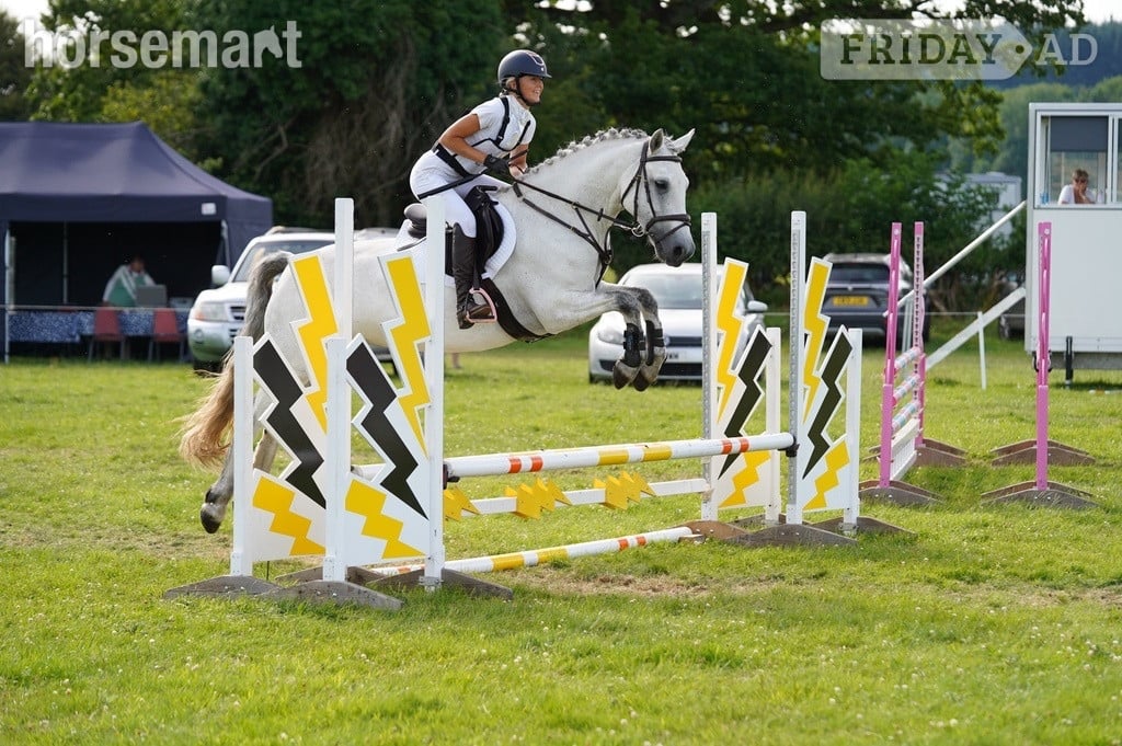 "Pepper" Grey Mare All Rounder