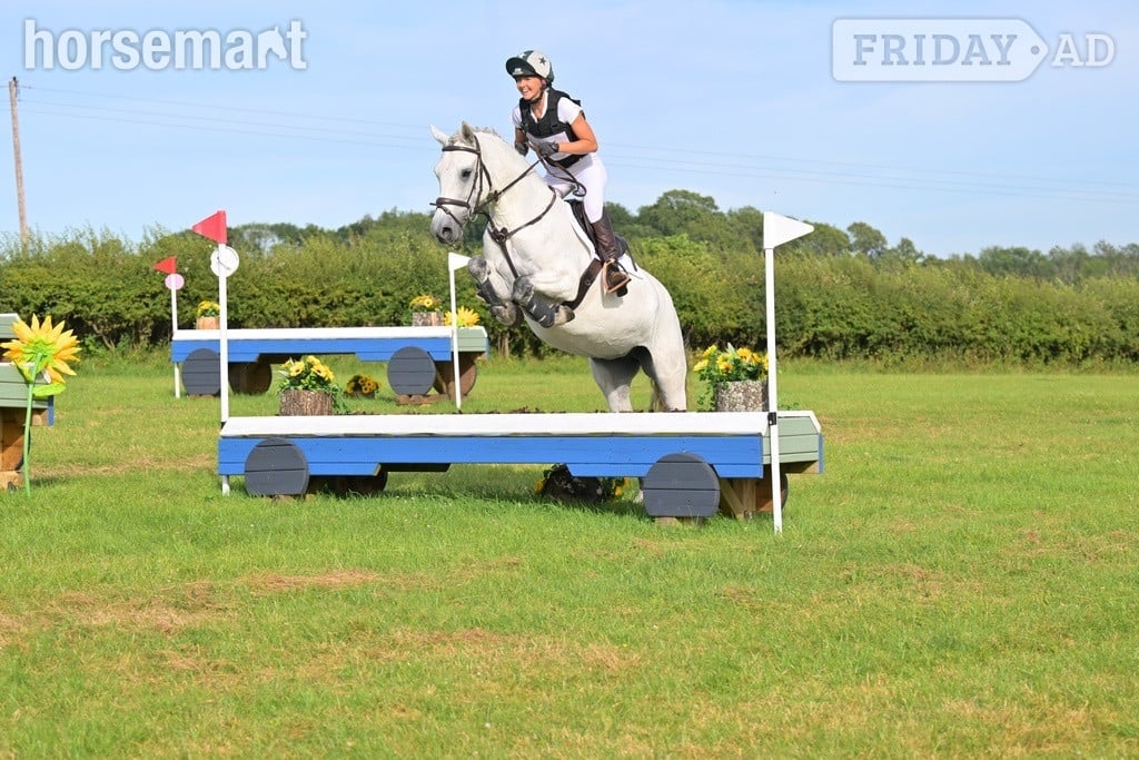 Burnham-On-Sea "Pepper" Grey Mare All Rounder