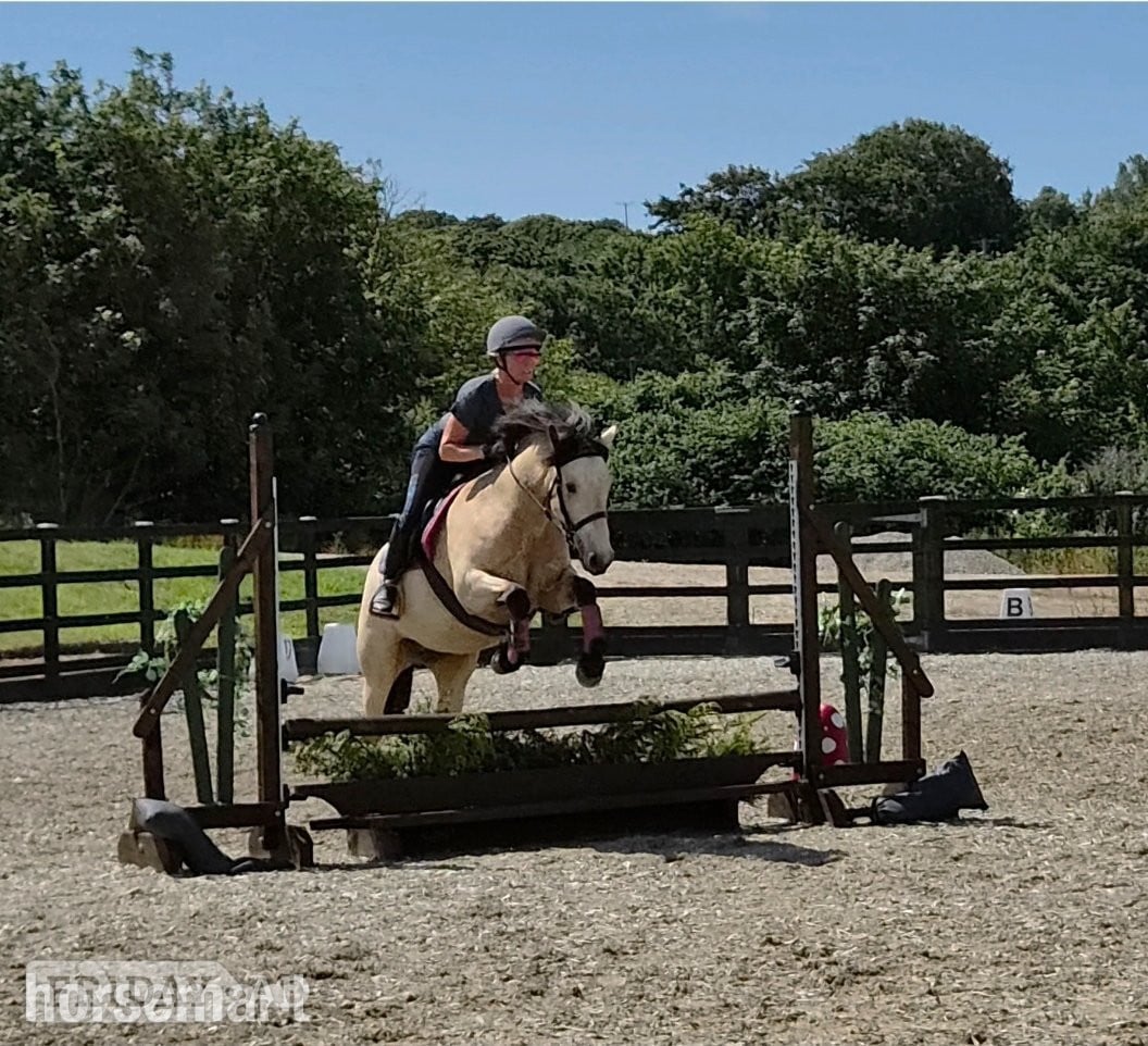 "Fleetwoods keeping faith " Buckskin Mare All Rounder in Redruth
